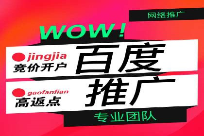 百度推广技巧分享：成功案例解析